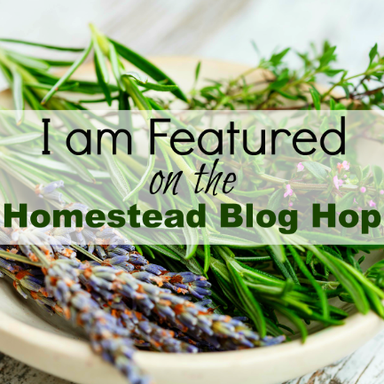 I am featured on the Homestead Blog Hop