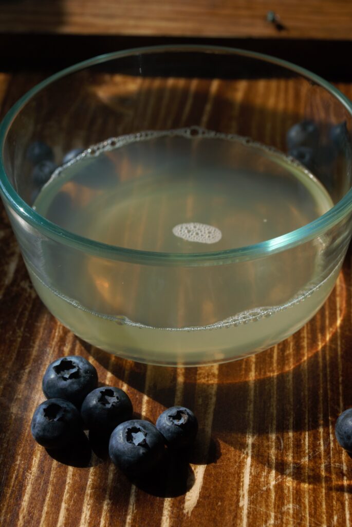 DIY fruit fly trap in a pyrex dish with blueberries