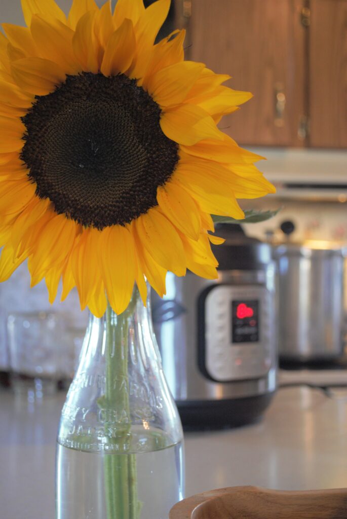 instant pot and sunflower