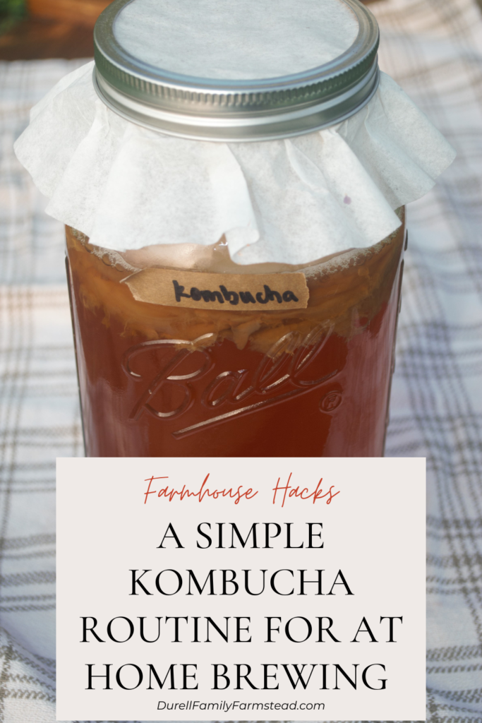 a simple kombucha routine for at home brewing- pin