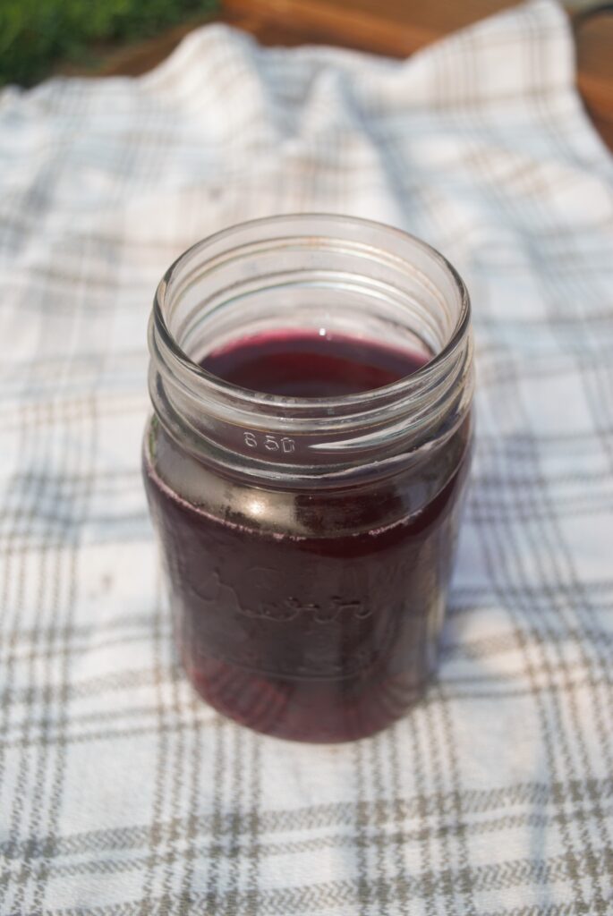 second fermentation berry kombucha flavor